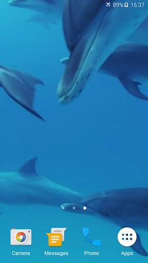 Dolphins Live Wallpaper screenshot 3