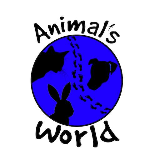 Animal's World Mascotas 1.16
