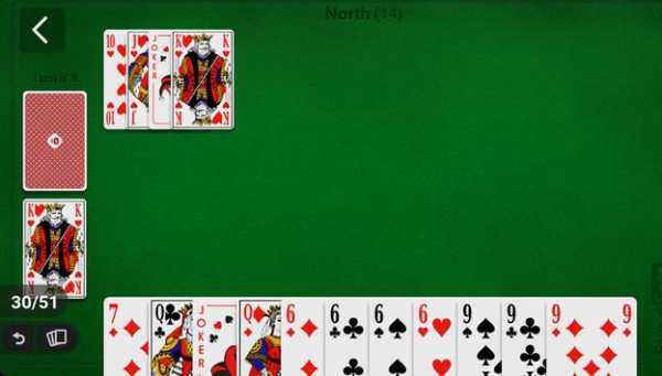 Rummy 2018 screenshot 7