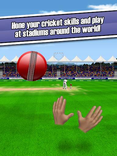New Star Cricket screenshot 10