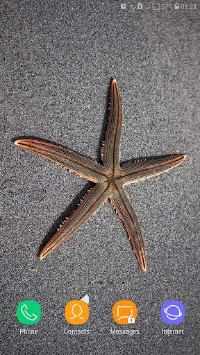 Starfish Wallpaper screenshot 12