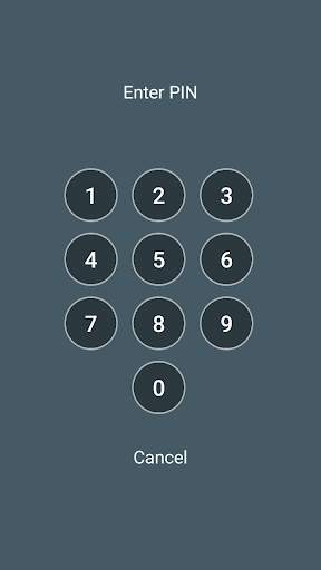 Pass it Gallery - free secured gallery screenshot 7