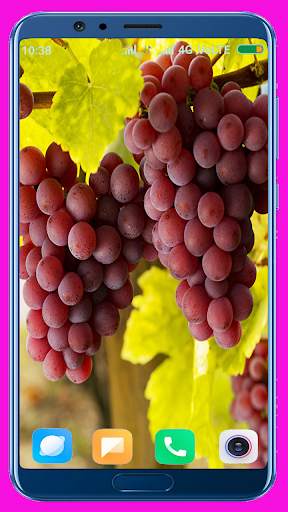 Grapes HD wallpaper screenshot 2