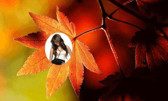 Leaf Photo Frames screenshot 4