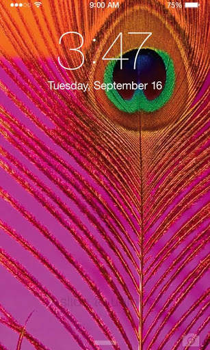 Peacock Wallpaper screenshot 5