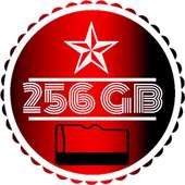 256GB SD CARD : MINI SD CARD Cleaner 2.0