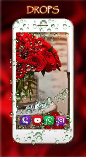 Roses Gallery Live Wallpaper screenshot 2