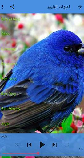 Bird sounds tones screenshot 2