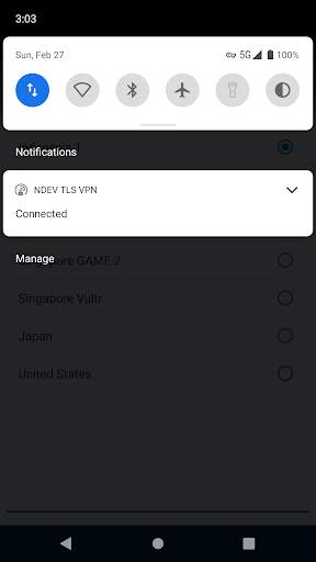 NDEV TLS VPN screenshot 3