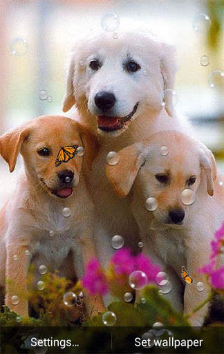 Cute Live Wallpaper screenshot 3