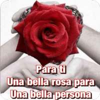 Roses with Beautiful Phrases 🌹 on 9Apps