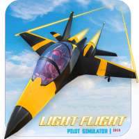 Light Flight Pilot Simulator 2019 logo