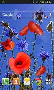 Poppies flowers LWP screenshot 2