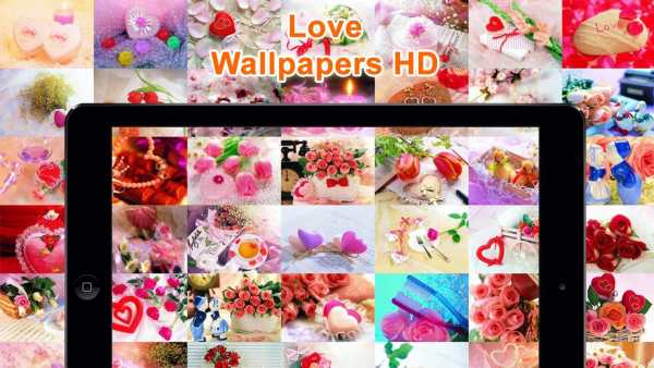 Love Wallpapers HD screenshot 7