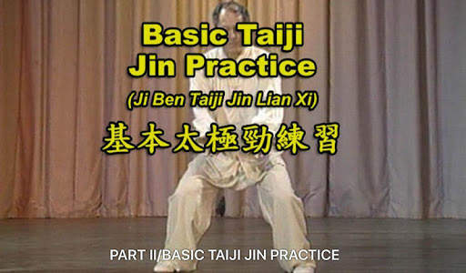 Tai Chi Pushing Hands screenshot 4