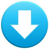 Web Downloader 1.4