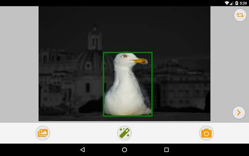 foto's & fotomontage bijsnijden & fotomontage screenshot 14