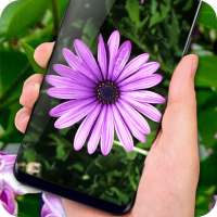 Lilac Live Wallpapers Free - HD Flower Wallpaper icon