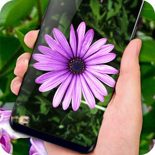 Lilac Live Wallpapers Free - HD Flower Wallpaper 1.1