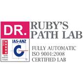Dr. Ruby’s Path Lab 0.0.1