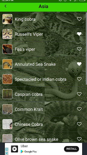 World of Snakes screenshot 3