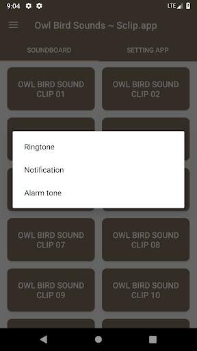 Owl Bird Sound Collections ~ Sclip.app screenshot 3