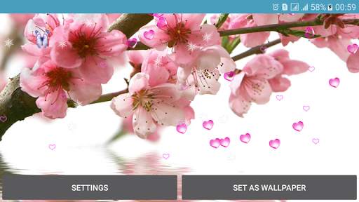 Flower Spring Live Wallpapers screenshot 8