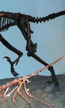 Dinosaur Skeleton Wallpapers screenshot 3