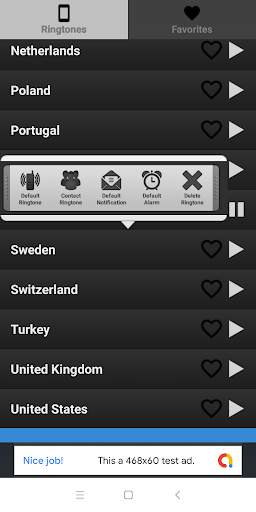 Anthems of the world screenshot 3