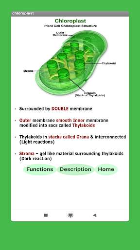 Cell- Organelles स्क्रीनशॉट 3