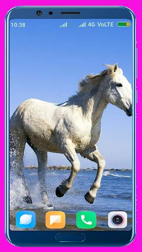 Horse Wallpaper screenshot 15