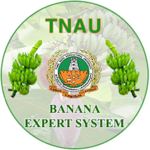 Banana Expert System 1.1