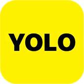 YOLO 1.0