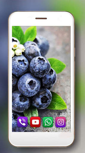 Berries Summer Live Wallpaper screenshot 5