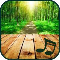 Nature sounds to sleep to on 9Apps