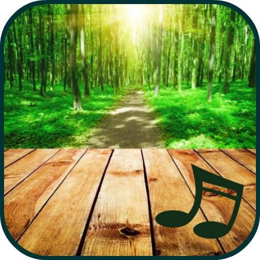 Nature sounds to sleep to 1.2-1106