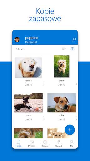 Microsoft OneDrive screenshot 1