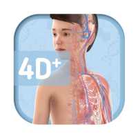 Humanoid 4D  icon