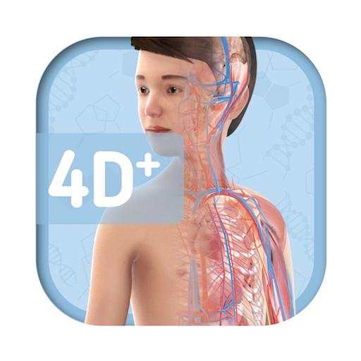 Humanoid 4D  3.0