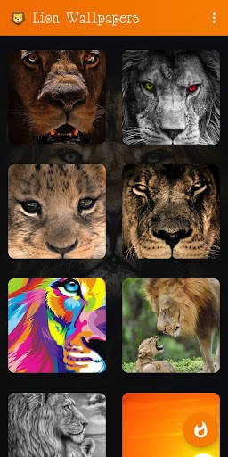 🦁 Lion Wallpaper : Wild King Backgrounds screenshot 16