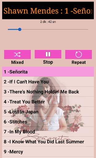 SHAWN MENDES-Songs Offline (40 Songs) screenshot 6