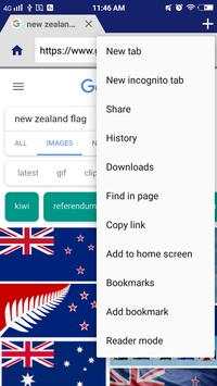 New Zealand Browser screenshot 4