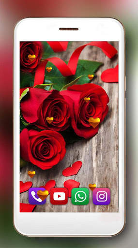 Roses Red Love Live Wallpaper screenshot 1