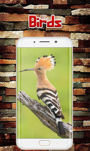 Animal Sounds with Images for Kids 7 تصوير الشاشة