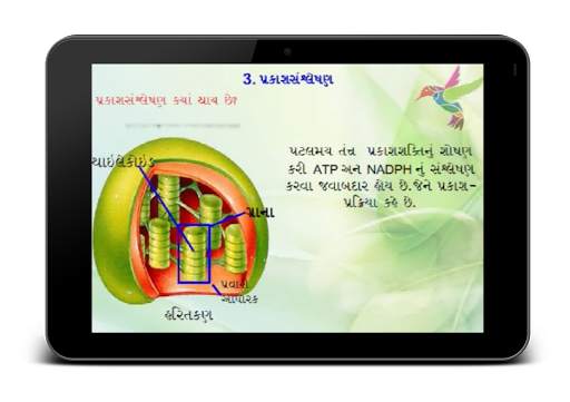 Animated Biology GSEB 12-3-1 screenshot 6