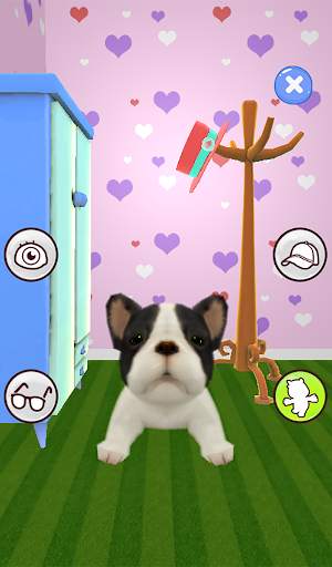 Talking Dog screenshot 16