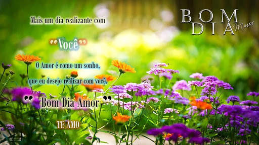 Imagens com Frases de Bom Dia Amor 3 تصوير الشاشة