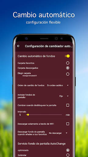Fondos de pantalla con tulipán screenshot 4