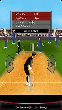 Cricket Fever screenshot 3