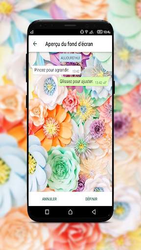 Wallpapers for Chat Background screenshot 3